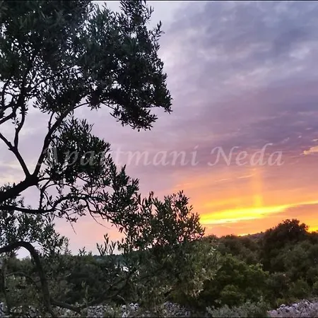 Neda 아파트 로고즈니차