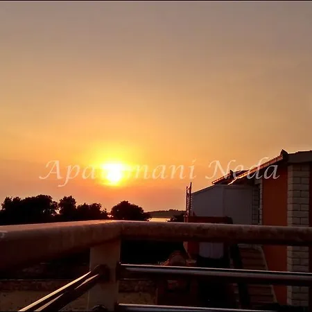 Neda * 로고즈니차