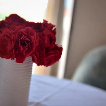 Neda 로고즈니차