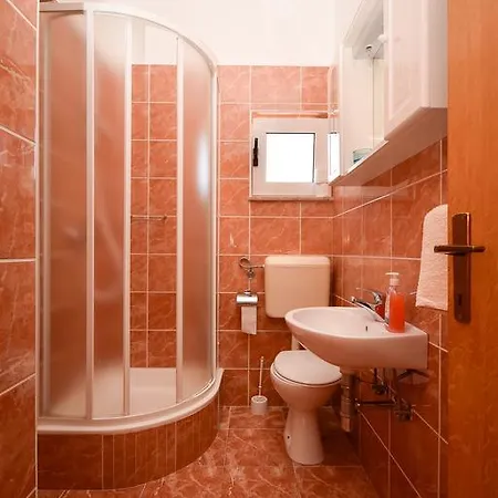 Neda 로고즈니차