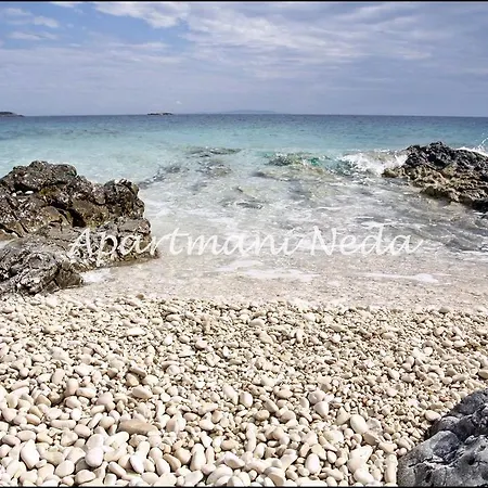 Neda 로고즈니차